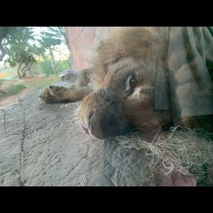 Meet your Posher, Kyle